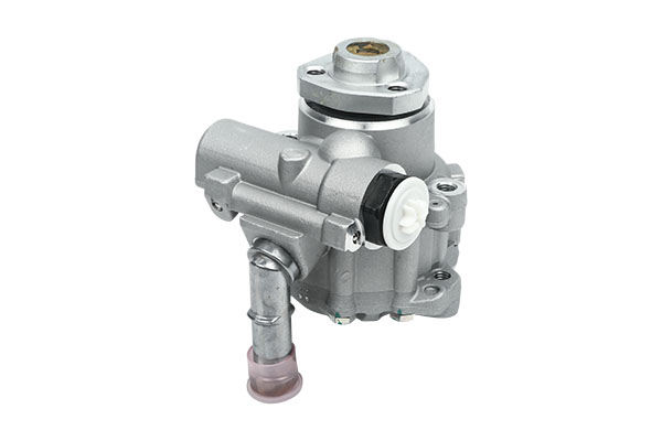 Pumpe Für Servolenkung Für VW Seat Skoda 6X0422154 B13213 Borsehung