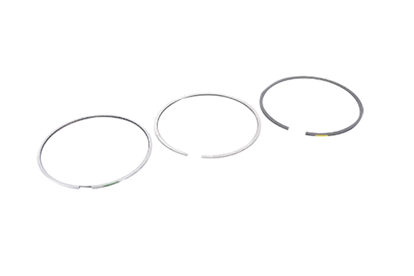 Kolbenringe Für VW Audi 06J198151K B10364 Borsehung