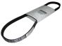 Riemen Klinowy 5PK1110 Neues Original 8200841132 Renault Dacia