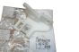 Klammer Reflektora Neues Original 6212.57 621257 Citroen Xsara 2