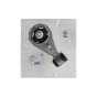 Motoraufhängung, Motorlager Für Renault 532D05 113560012R Hutchinson