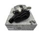 Bremssättel Links Hinten Original Renault Megane Scenic 3 440110675R