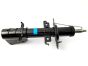 Stoßdämpfer Vorne Original Kangoo II Kubistar 543020572R