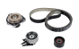 Zahnriemen-Satz Set Kit Original 6000631712 Fiat