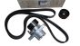 Keilriemenspanner Original 7701479150 Renault Dacia