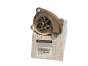 Wasserpumpe Renault 210109409R Original