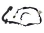 Kabelbaum Türinstallation Links Hinten Clio 3 8200715808 Renault