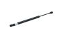 Stellmotor Heckklappe 4G5827919 B18443 Audi A6 Borsehung