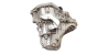 Getriebe TL4A001 TL4001 Renault Megane 2 1.5 DCi 7701700539 1019