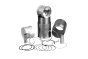 Zylinderlaufbuchse Set Für Skoda Felicia 115000313 K11776101 Vika