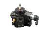 Einspritzpumpe Neues Original 1670000Q1T 167002972R Renault Nissan