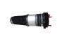 Stoßdämpfer Für Audi A6 4F0616040Q 66160002401 Vika