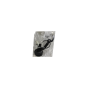 Horn Hupe Fanfare Signalhorn Original 9830104080 Citroen Peugeot