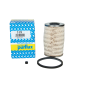 Kraftstofffilter PURFLUX C519 164038513R