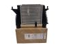 Laderluftkühler 817999 8200471888 Renault Valeo