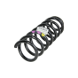 ren550200041r