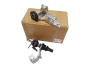 psa255131