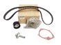 Zahnriemen-Satz Set Kit Renault 119A02421R Original