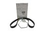 Antriebsriemen Neues Original 117203866R Renault