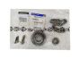 Kette, Ölpumpenantrieb Für Schmierung Original 150A09501R Renault