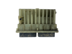 Steuergerät 24410130 15396912 Opel GM Delphi 48774