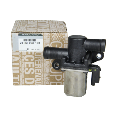 Wasserpumpe Dacia Renault 212309316R Neues Original