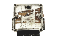 Steuergerät 0281011254 8200236624 8200236618 Renault Bosch 16421