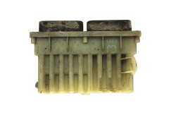 Steuergerät 24410130 15396912 Opel GM Delphi 21928