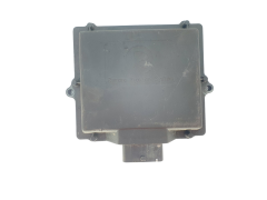 Steuergerät LPG 10R-030831 67R-010020 110R-000044 Romano 46201