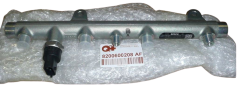 Einspritzleiste Kraftstoffverteiler Renault Clio Trafic Kangoo 1.9 dCi 8200600208