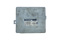 Steuergerät 39110-02743 S02808263 CE6E Hyundai 55611