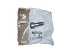 Schraube Neues Original 037665 0376.65 Citroen Peugeot