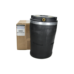 Anschlagpuffer Hinten Original 8201323916 Renault