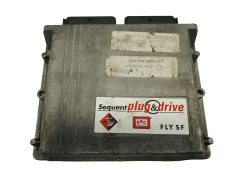 Steuergerät DE815130-1 67R011002 110R001001 FLY SF BRC 68578