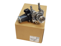 Agr-Ventil Citroen Peugeot 9829870080 Original