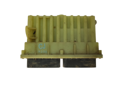 Steuergerät 24410130 ID804027 Opel GM Delphi 15839