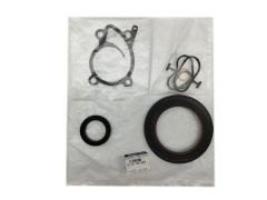 Dichtungssatz Neues Original 101015885R Renault Dacia