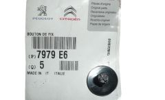 Festsetzung Neues Original 7979E6 7979.E6 Citroen Peugeot