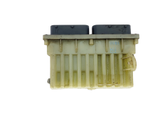 Steuergerät Opel 24456733 15427111 Delphi GM 39696