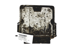 Steuergerät 0281001997 7700106485 8200076092 Renault Bosch 24520