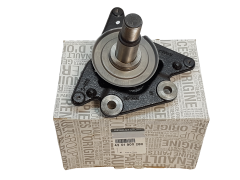 Achsschenkel Renault 430190028R Original