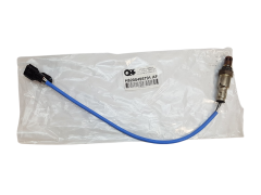 Lambdasonde Diagnosesonde Renault Dacia Nissan H8200495791 226A47260R