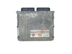 Steuergerät LPG 67R011002 110R001001 031001 FLY SF BRC 56362