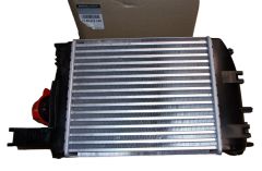 Laderluftkühler Neues Original 144967634R Renault Dacia