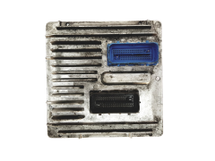 Steuergerät Opel 12674281 695085118 12663006 GM