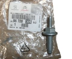 Schraube Kołyski Silnika Neues Original 9672830980 Citroen C3 3 DS3