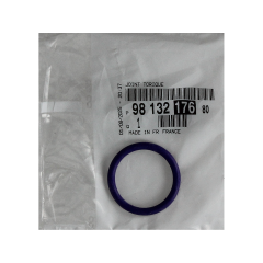 Dichtung Citroen Peugeot 9813217680 Neues Original