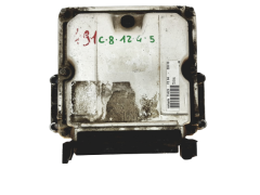 Steuergerät 0281010250 9637089980 28FM0167 PSA Bosch 21194