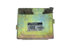 Steuergerät Hyundai 39110-02710 S02808200 55518