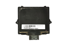 Steuergerät LPG 10R-030831 67R-010020 110R-000044 Romano 28317